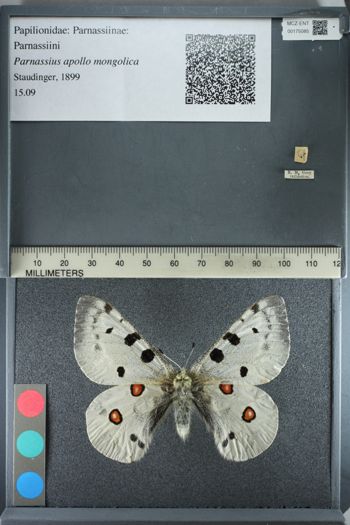 Media type: image;   Entomology 175085